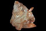 Natural, Red Quartz Crystal Cluster - Morocco #88918-2